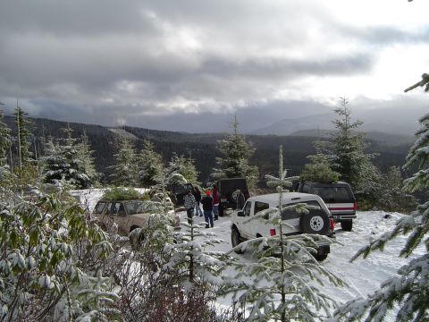 1989 Ford Bronco - Several SUVs, including a 1989 Ford Bronco, are parked in a snowy forest with Christmas trees loaded on top.