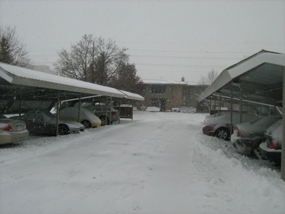 Snowy apartment carport lot with cars covered in snow during snowfall