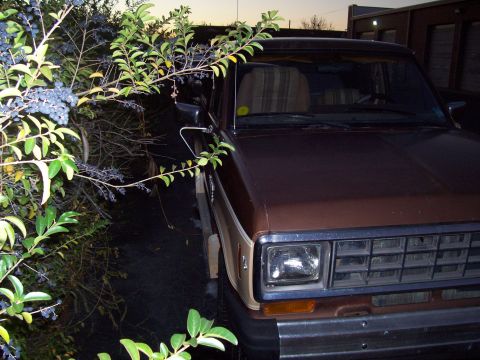 1984 Ford Bronco II - Front three-quarter view of a 1984 Ford Bronco II, showing its grille and headlight, partially obscured by foliage.