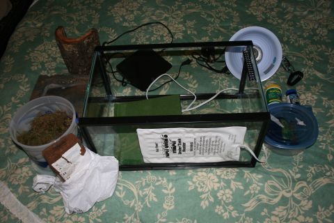 2003 Jeep TJ - Various items for setting up a terrarium are displayed on a green floral-patterned surface.
