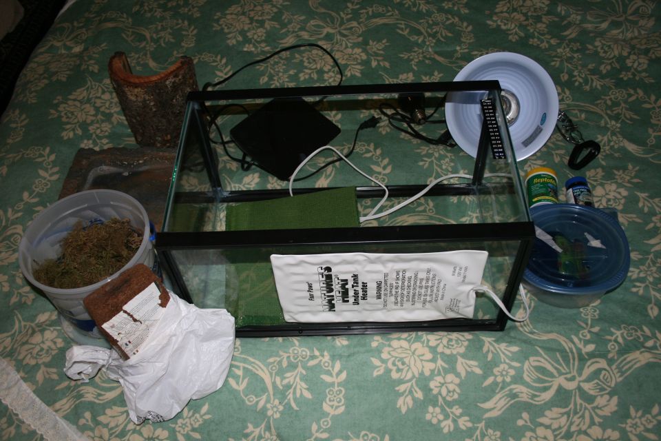 Glass terrarium with heating pad, moss, and other supplies laid out on a patterned blanket