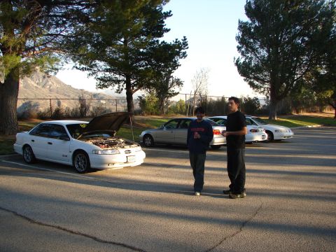 1992 Ford Taurus - Two people stand near a white 1992 Ford Taurus with its hood open in a parking lot.