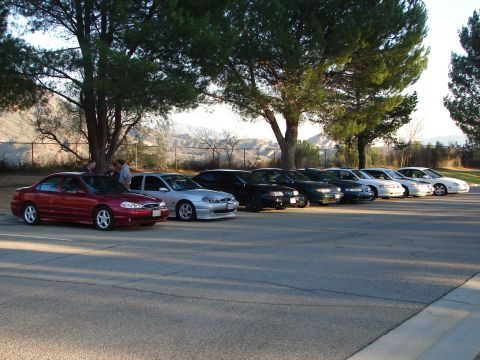 1992 Ford Taurus - A line of sedans, including a red and a silver model, are parked outdoors under a canopy of trees.