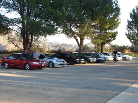 1992 Ford Taurus - A line of sedans, including a red one and a silver one, are parked outdoors under trees.