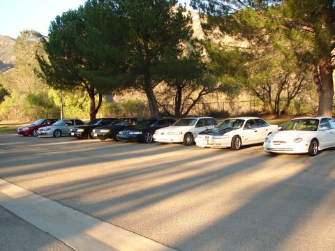 1992 Ford Taurus - A group of sedans, including a white 1996 Ford Taurus, are parked in a lot with trees and hills in the background.