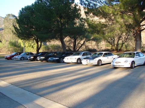 1992 Ford Taurus - A line of sedans, including a white one with a contrasting black hood, are parked in a lot with trees in the background.