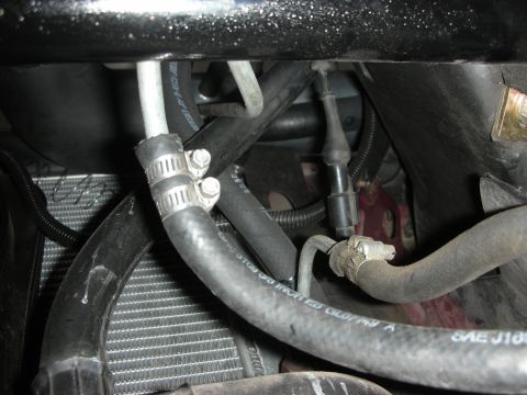 1992 Ford Crown Victoria - Engine bay components including hoses and radiator fins are shown in this close-up view.