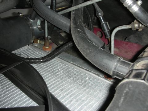 1992 Ford Crown Victoria - Close-up view of engine bay components including the radiator and various hoses.