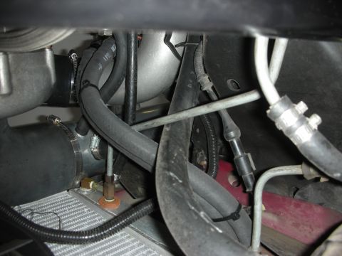 1992 Ford Crown Victoria - Engine bay hoses and radiator components are visible in this close-up shot.