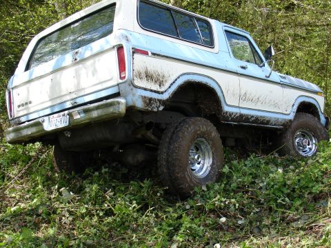 1978 Ford Bronco - A muddy 1978 Ford Bronco sits on a hill covered in grass and foliage.