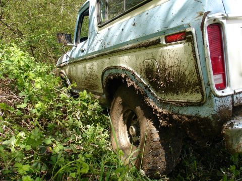 1978 Ford Bronco - This 1978 Ford Bronco is seen stuck in a muddy area, surrounded by greenery.