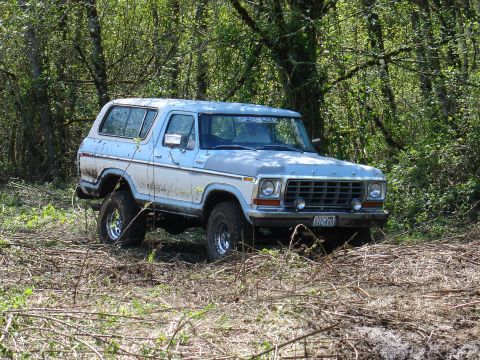 1978 Ford Bronco - This 1978 Ford Bronco is parked in a wooded area with brush on the ground.