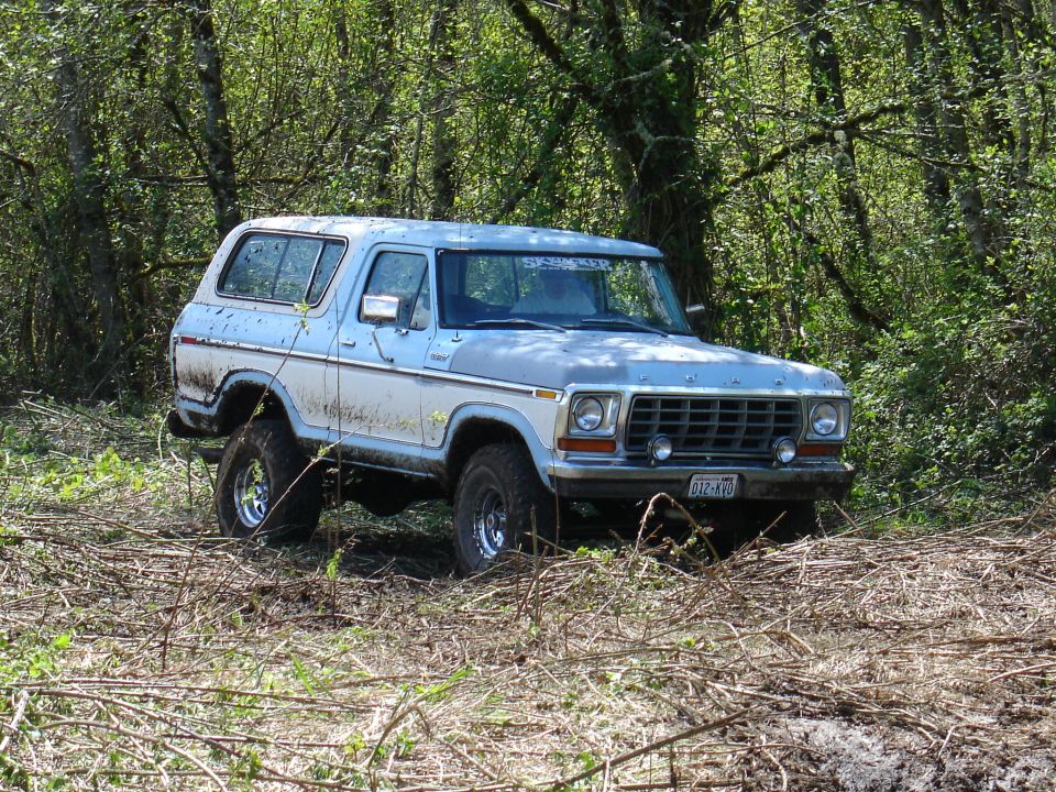 1978 Ford Bronco parked in a wooded area with brush on the ground