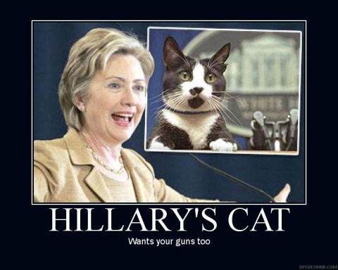 2000 Ford Crown Victoria - A meme Hillary Clinton alongside a cat displayed on a screen, with text overlaying the image.