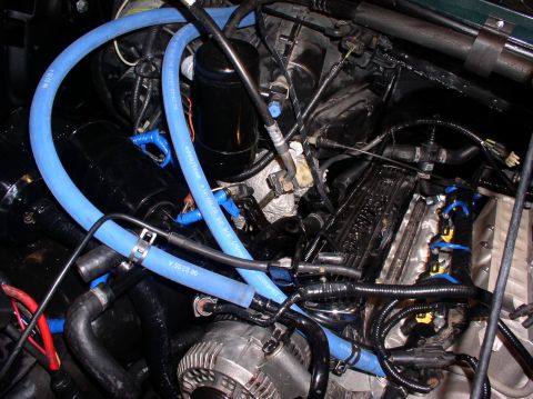 1993 Ford Bronco - Close-up of an engine bay blue hoses and various engine components.