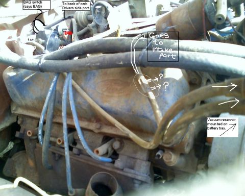 1979 Ford F-150 - Close-up of a dusty blue Ford V8 engine still in a donor vehicle, with the cast Ford oval on the rocker cover, blue Duralast 8mm plug wires…
