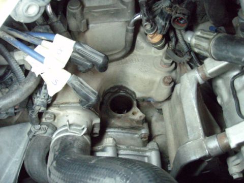1995 Ford F-150 - This image shows a close-up view of engine parts, focusing on spark plug wires and hoses.