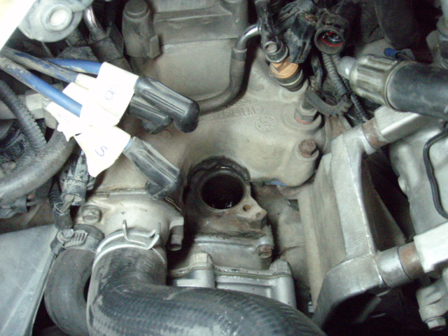 Close-up of engine components, including spark plug wires and hoses