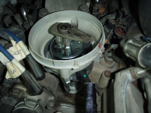 1995 Ford F-150 - The distributor cap and rotor assembly are visible, along with several spark plug wires connected to the cap.