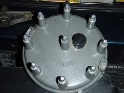 1995 Ford F-150 - A Motorcraft distributor cap is shown, likely for an older Ford vehicle, with spark plug wire terminals visible.