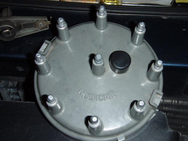 Motorcraft distributor cap with visible spark plug wires