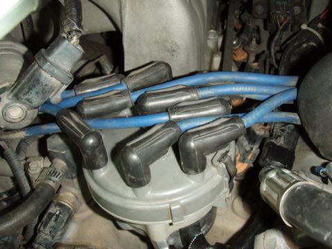 1995 Ford F-150 - Overhead engine-bay close-up of a gray distributor cap with black boots seated around it, fed by blue 8mm aftermarket spark plug wires rout…