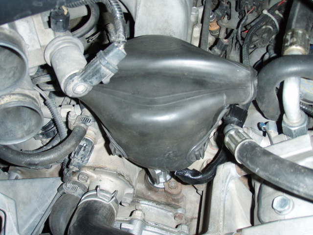 Engine components including a black plastic cover and hoses