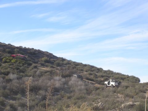 1990 Ford Bronco - Broncos, Bushes & Sky