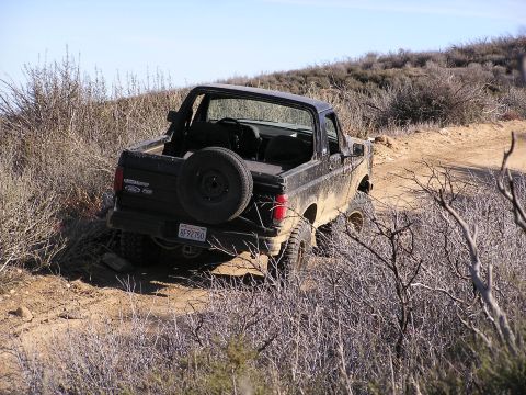 1990 Ford Bronco - CanuckinaBronco
