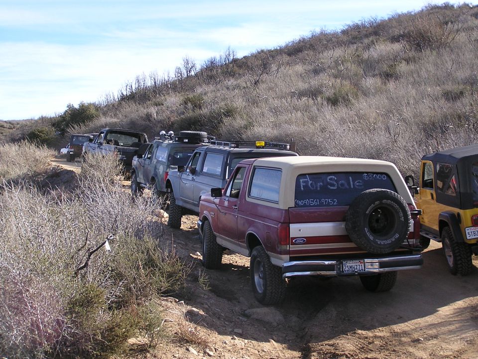 Bronc Line up 2