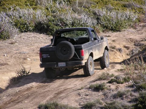 1990 Ford Bronco - Canuck...
