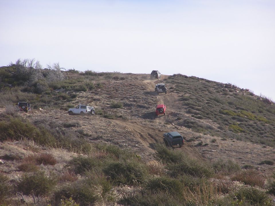 Bronco hillside