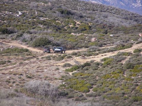 1990 Ford Bronco - PastaBronco & Bronconvict