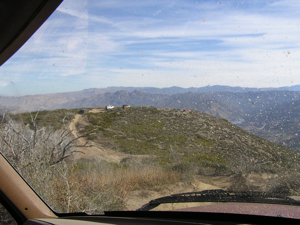 Windshield Broncos