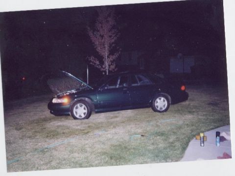 1994 Ford Taurus “Diablo's Bull”
