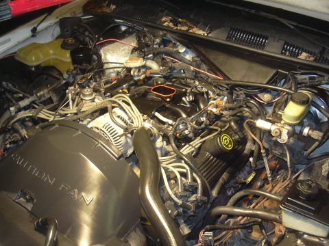 1997 Ford Crown Victoria - The engine bay of a 1997 Ford Crown Victoria shows various components and wiring.