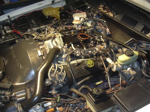 1997 Ford Crown Victoria - The engine bay of a vehicle, a Ford logo on the valve cover and various hoses and components.