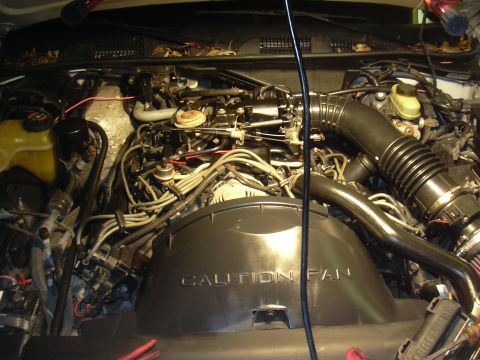 1997 Ford Crown Victoria - The engine bay of a vehicle is shown, with various components and wiring visible.