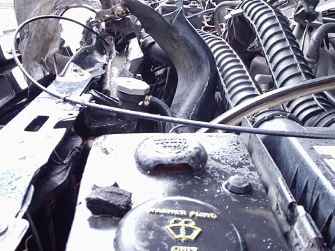 1995 Ford F-150 - Close-up view of the engine bay, showing various hoses and the washer fluid reservoir cap.
