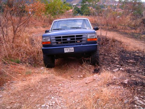 1995 Ford F-150 - Front view of a blue 1995 Ford F-150 parked on a dirt road.