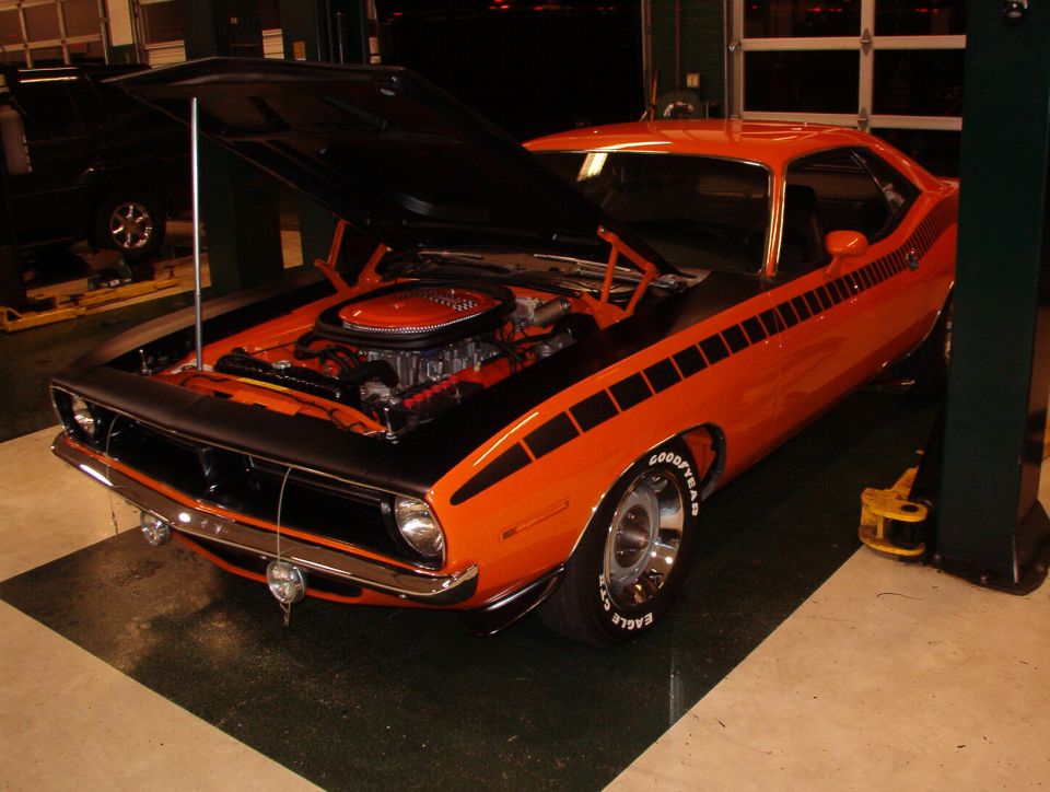 Cuda in the shop