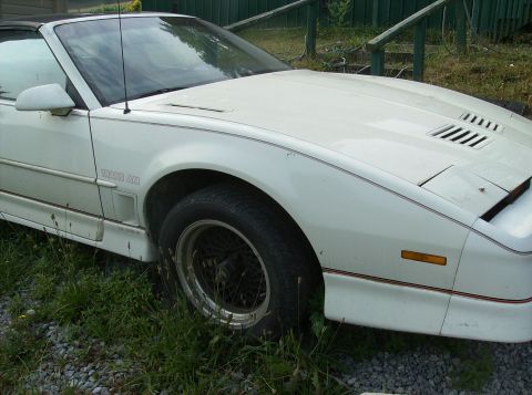 1995 Ford Probe - White convertible with a black top is shown from a 3/4 front angle, with a 'TRANS AM' badge visible on the fender.