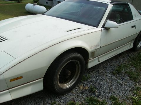 1995 Ford Probe - A white Pontiac Trans Am is shown from a 3/4 front angle, with visible 'TRANS AM' badging on the fender.