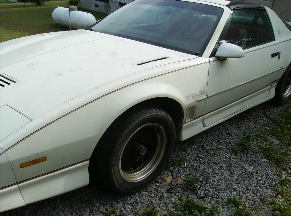 White Pontiac Trans Am with 'TRANS AM' badging on the fender