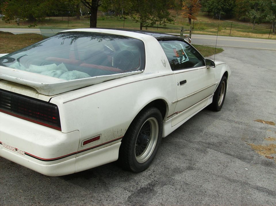 White Pontiac Firebird Trans Am with a black roof and spoiler, parked on pavement
