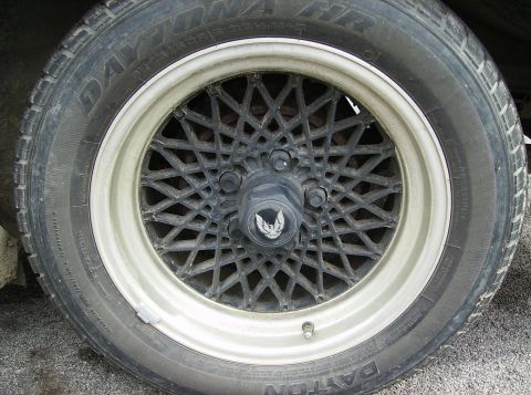 1995 Ford Probe - A close-up view of a car's wheel and tire, a distinctive mesh design and a bird emblem on the hubcap.
