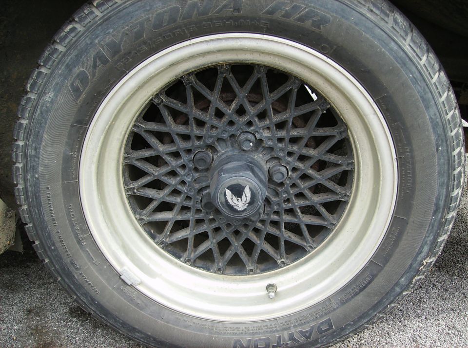 Close-up of a car wheel with a black mesh design and a bird emblem on the hubcap