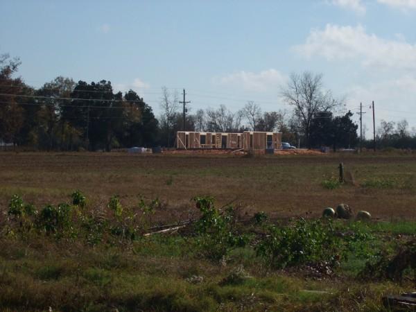 Construction site with house framing and a distant white vehicle