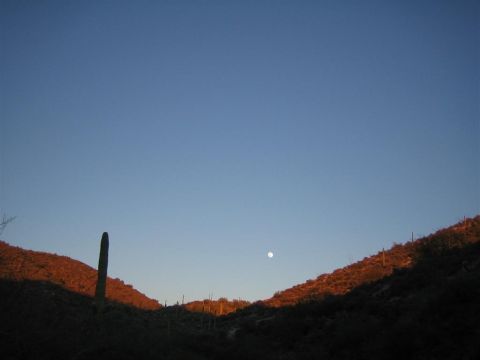 1987 Suzuki Samurai - A desert scene at sunset with a prominent saguaro cactus and the moon visible in the sky.