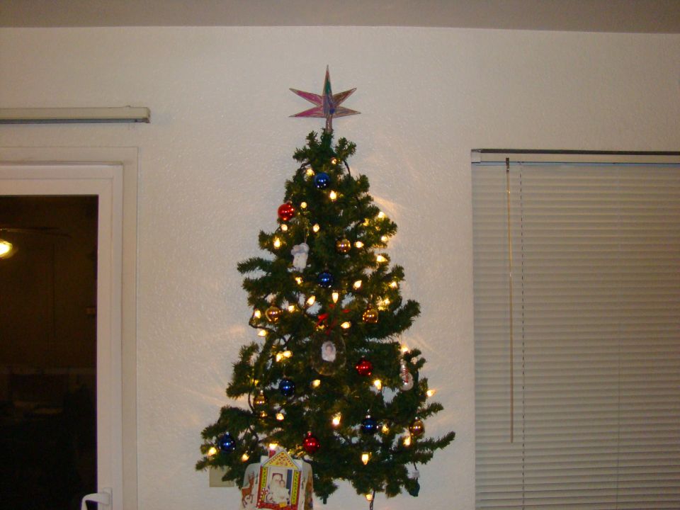 Decorated Christmas tree with star topper and ornaments